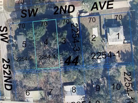 215 SW 252ND STREET NEWBERRY FL 32669