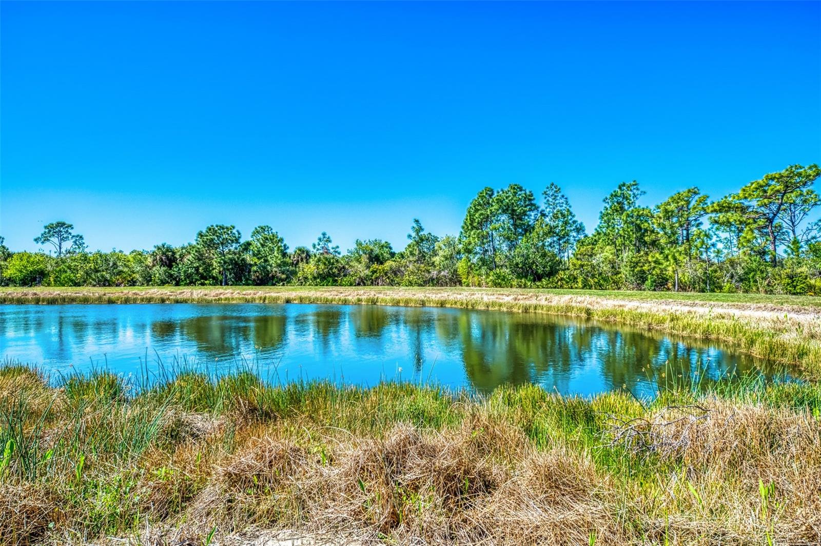 SARASOTA NATIONAL PH 3 - Residential