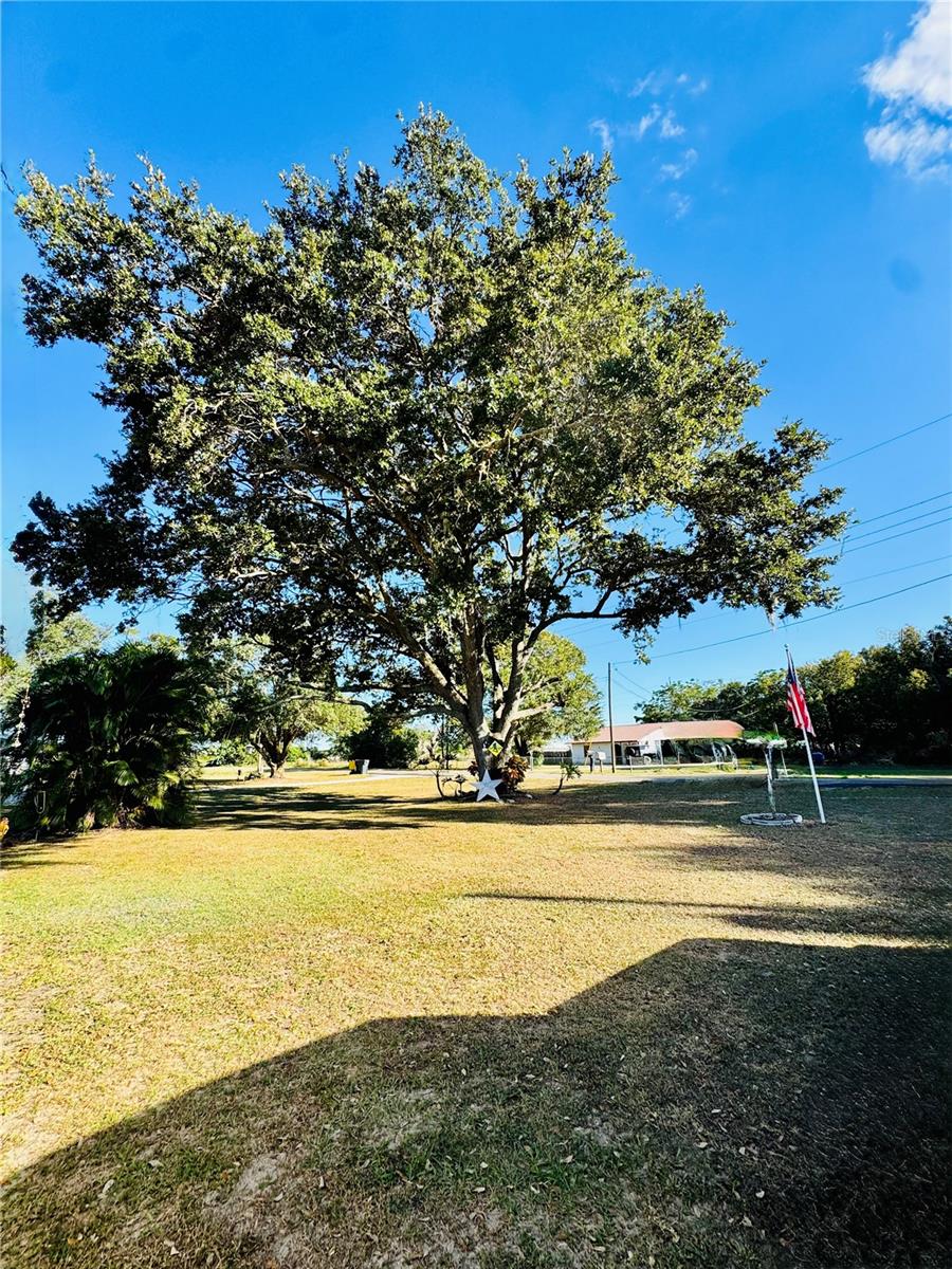 BLUE LAKE TERRACE - Residential