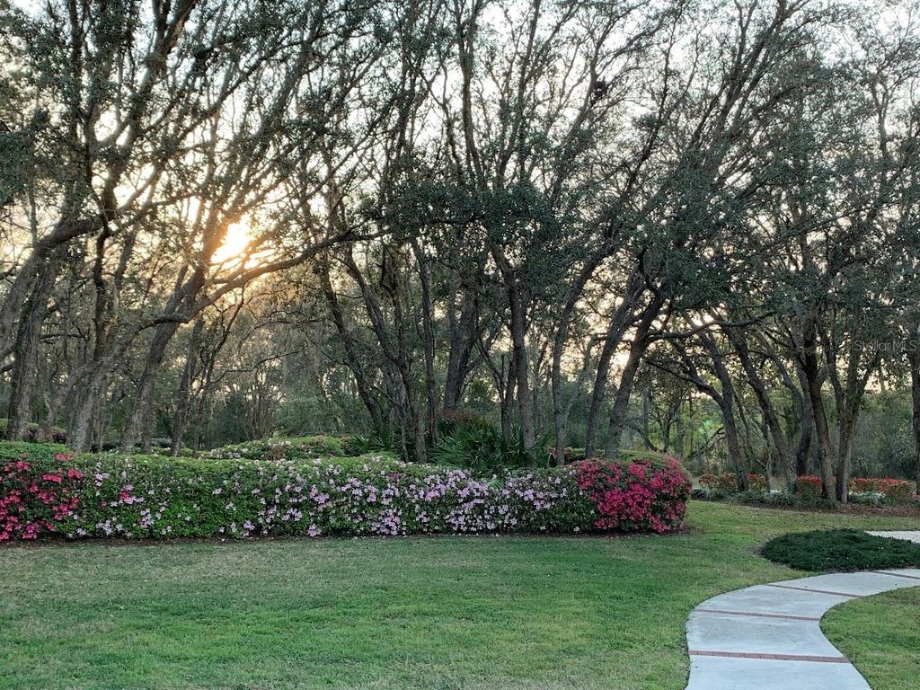 Photo of 3563 N Grayhawk Loop, Lecanto, FL 34461 (MLS # TB8441610)