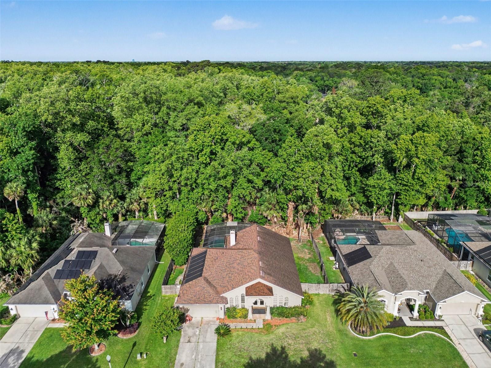 WINDING HOLLOW - Residential