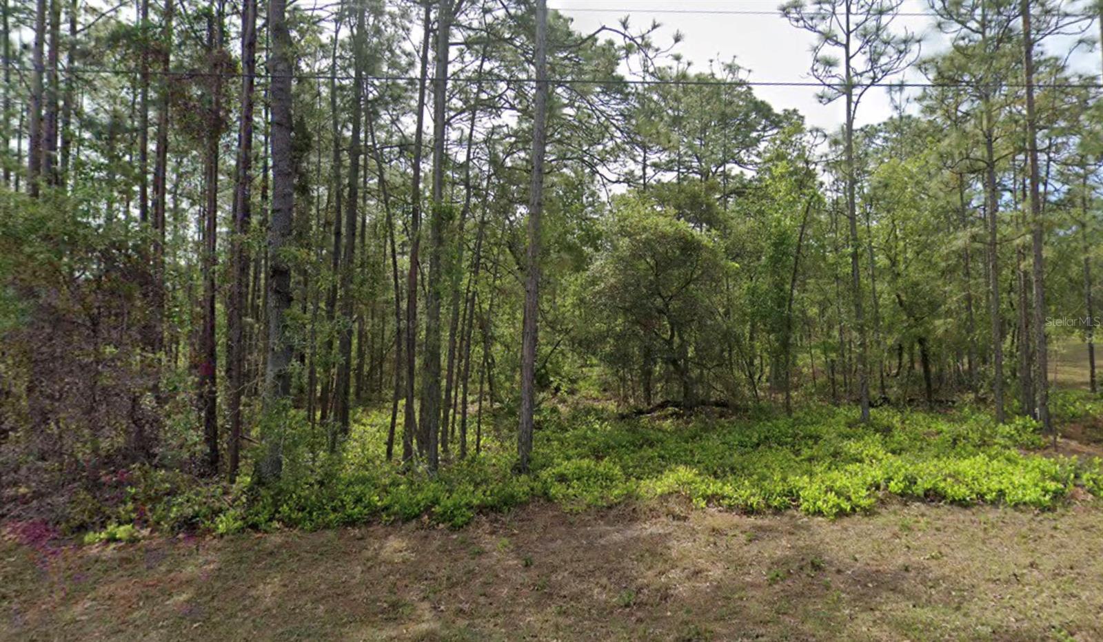 SUGARMILL WOODS CYPRESS VILLAGE - Land