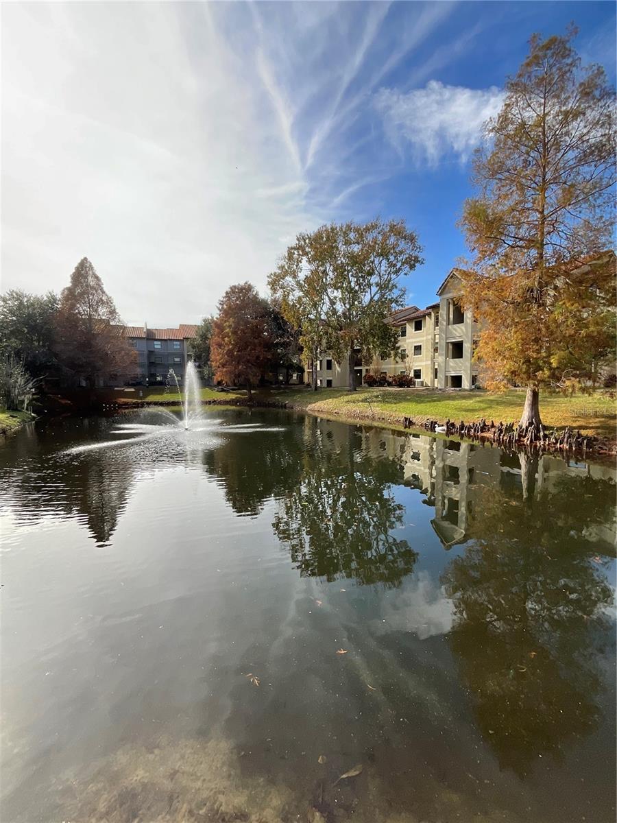 BLOSSOM PARK VILLAS CONDO - Residential