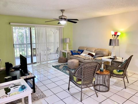 Condominium in PALM HARBOR FL 2511 DOLLY BAY DRIVE 38.jpg