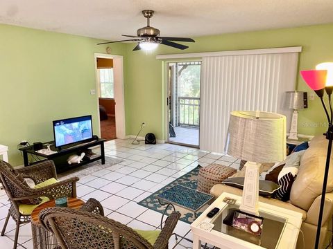 Condominium in PALM HARBOR FL 2511 DOLLY BAY DRIVE 39.jpg