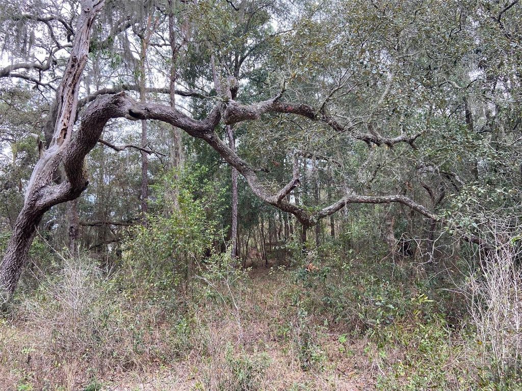 Photo of 0 Purdue Street, New Port Richey, FL 34654 (MLS # W7862091)