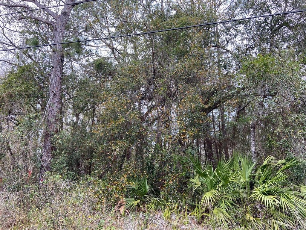 Photo of 0 Purdue Street, New Port Richey, FL 34654 (MLS # W7862091)