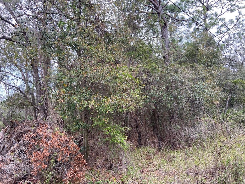 Photo of 0 Purdue Street, New Port Richey, FL 34654 (MLS # W7862091)