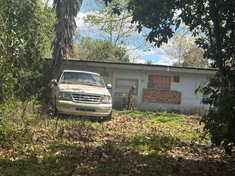 Photo of 45514 Ohio Street, Paisley, FL 32767 (MLS # S5147023)