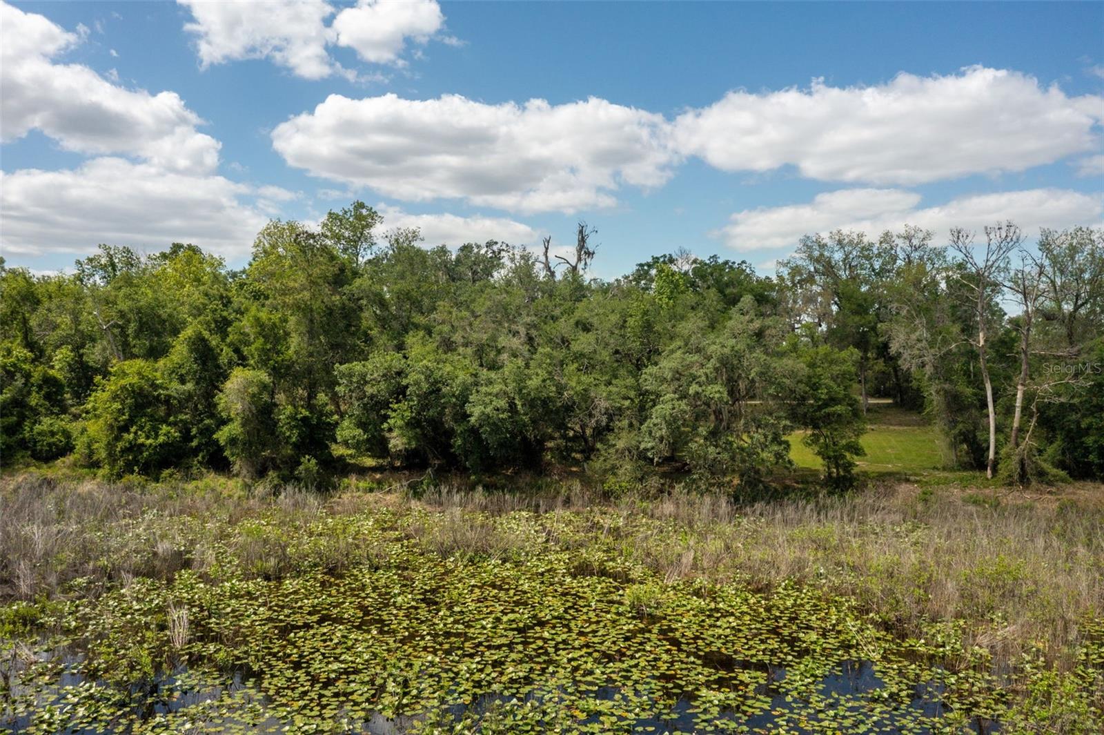 RIDGE MANOR ESTATE - Land