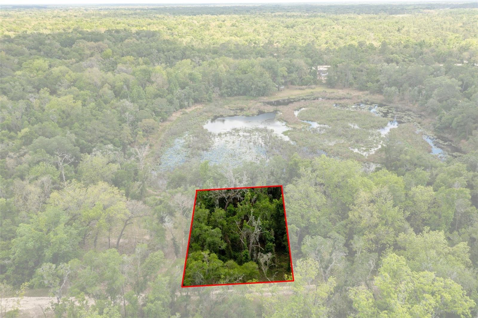 RIDGE MANOR ESTATE - Land