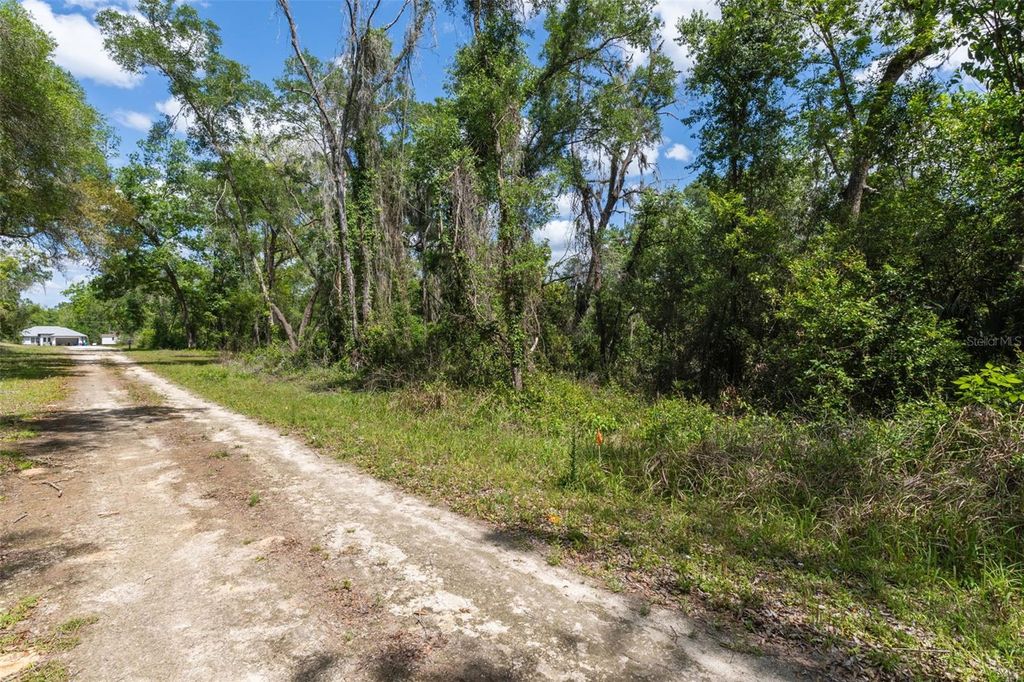 Photo of 0 Kenyon Drive, Webster, FL 33597 (MLS # W7884769)