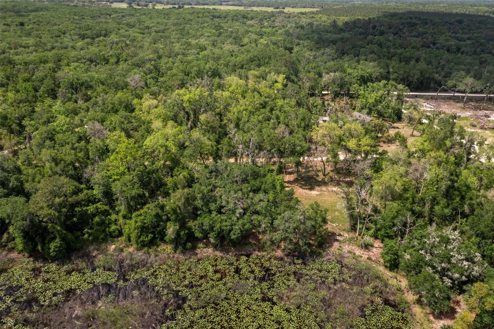 RIDGE MANOR ESTATE - Land