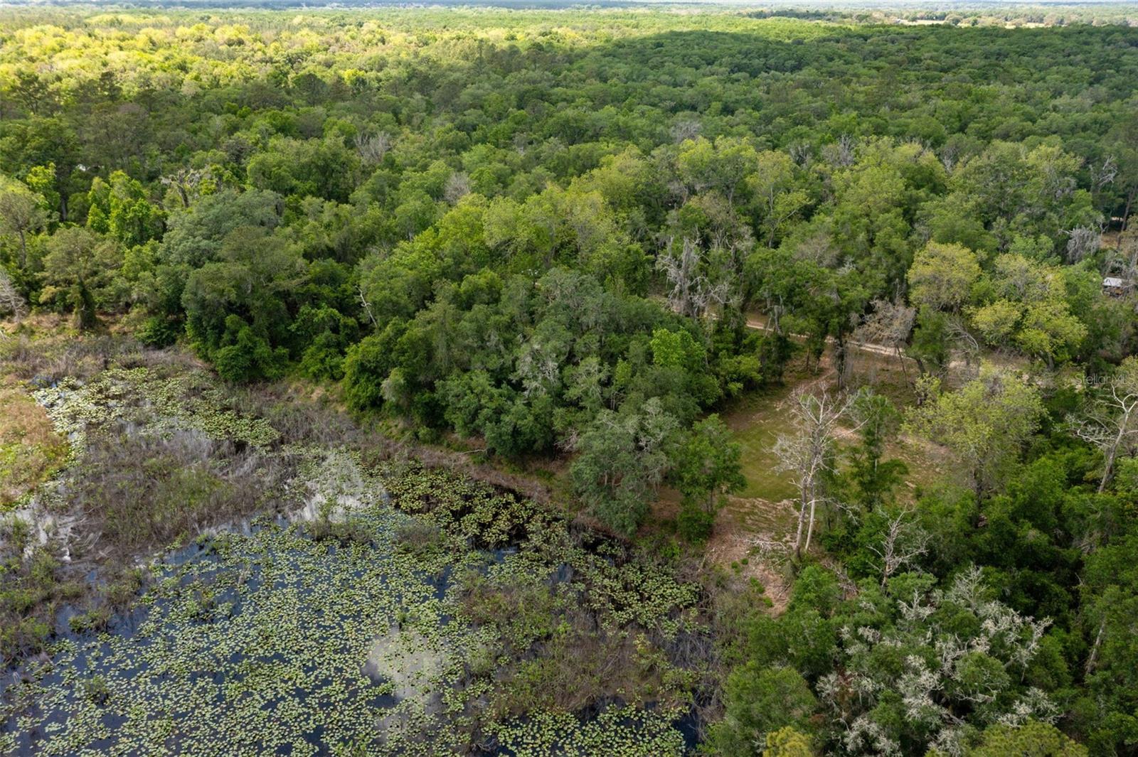 RIDGE MANOR ESTATE - Land