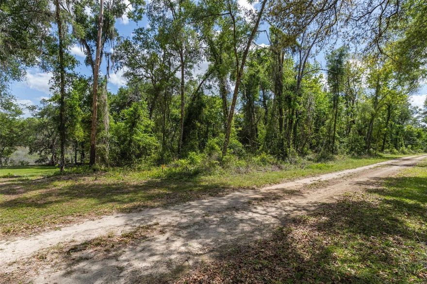 Discover the perfect blend of peace, privacy, and outdoor adventure with this beautiful vacant lot in Ridge Manor Estates. Overlooking scenic Lake Joel, this property offers a serene setting surrounded by Florida’s natural beauty. Nestled in a quiet, rural area, you’ll enjoy the calm and space that comes with country living, while still being just minutes from I-75, making commuting and access to nearby towns simple and convenient. Outdoor enthusiasts will love the location. You’re just a short drive from the renowned Croom Motorcycle Area, featuring miles of trails for dirt bikes and ATVs. Enjoy nearby walking and hiking trails, or spend your days exploring the Withlacoochee River and Silver Lake, both just minutes away. Whether you’re looking to build your dream home, create a weekend retreat, or invest in a growing area, this property offers a unique opportunity to enjoy nature without sacrificing accessibility. Don’t miss your chance to own a slice of peaceful Florida living!