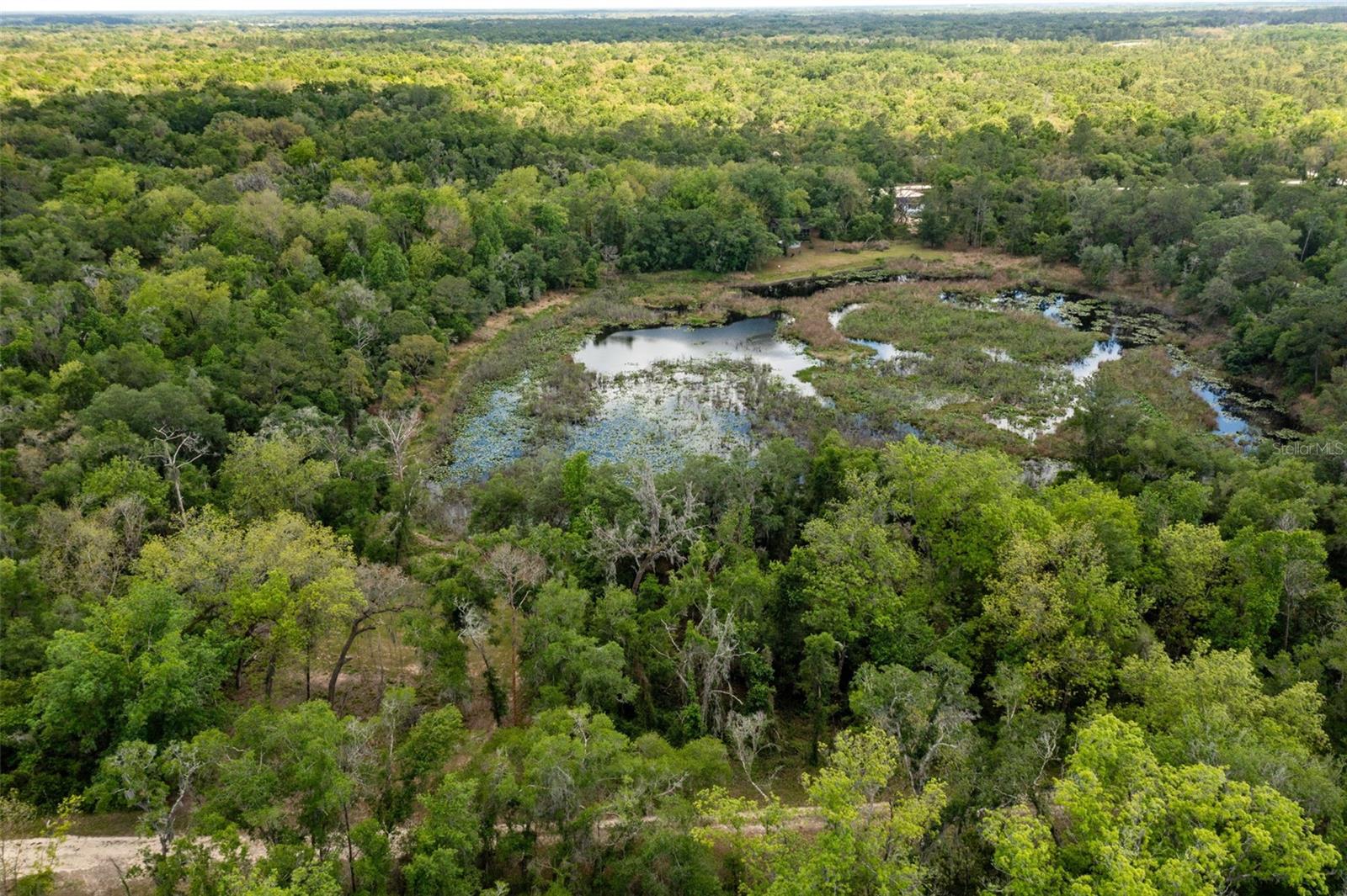 RIDGE MANOR ESTATE - Land