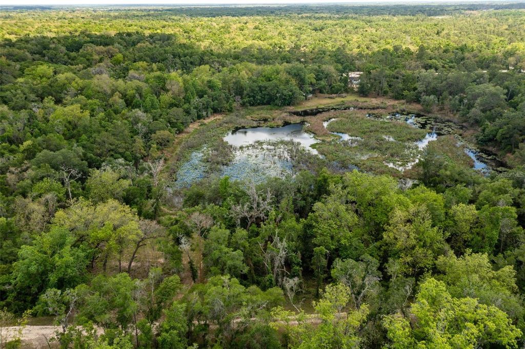 Photo of 0 Kenyon Drive, Webster, FL 33597 (MLS # W7884769)