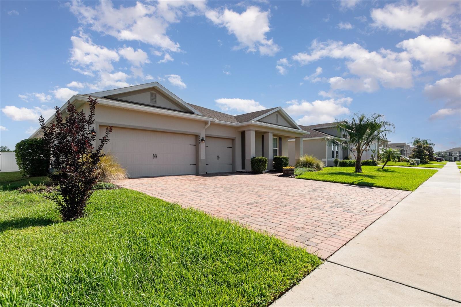 2249 PALMETUM LOOP
