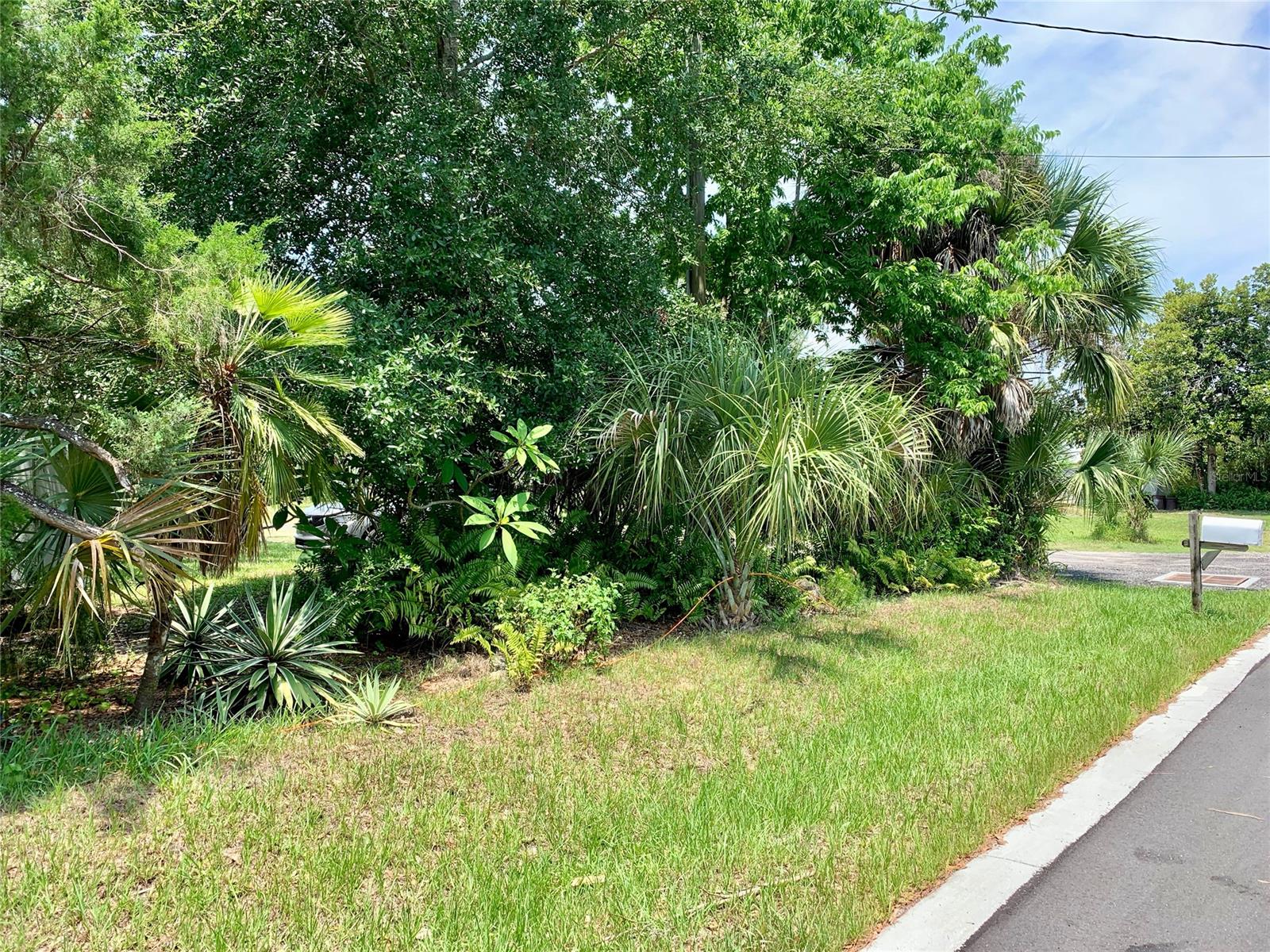 Turnbull Shores - Residential