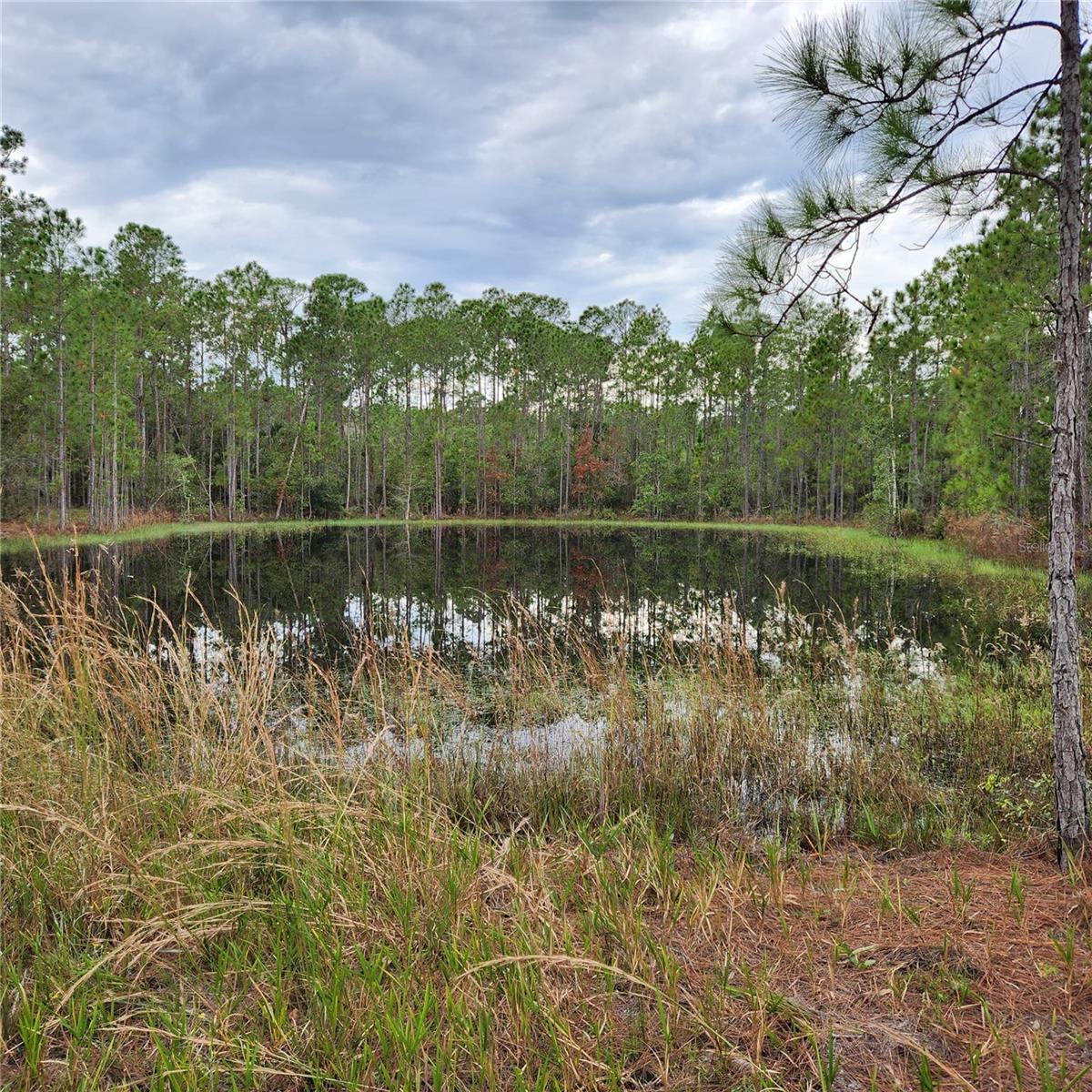 OVER 2 ACRES OF RURAL PROPERTY WITH A POND. POND IS SHARED WITH NEIGHBOR. WHAT A GREAT AREA TO BE. SINGLE FAMILY OR MODULATOR HOMES ONLY WITH A $27.00 A MONTH HOA TO MAINTAIN THE KEY CODED GATE. HIGH & DRY, WOODED AND IN THE COUNTY. DON'T MISS OUT ON A QUIET, PRIVATE PLACE TO CALL HOME. EASY LAKE ACCESS NEAR BY. CAMPING, BOATING AND FISHING WITH ACCESS TO A CHAIN OF LAKES.