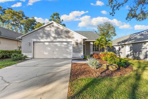 Photo of 1422 Trail Boss Lane, Brandon, FL 33511 (MLS # TB8454214)