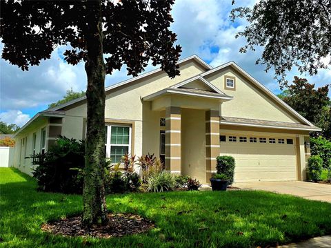 Photo of 806 Lesa Glen Place, Brandon, FL 33510 (MLS # TB8521850)