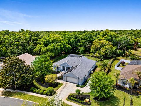 Photo of 1480 Robinwood Drive, Deland, FL 32720 (MLS # V4948753)