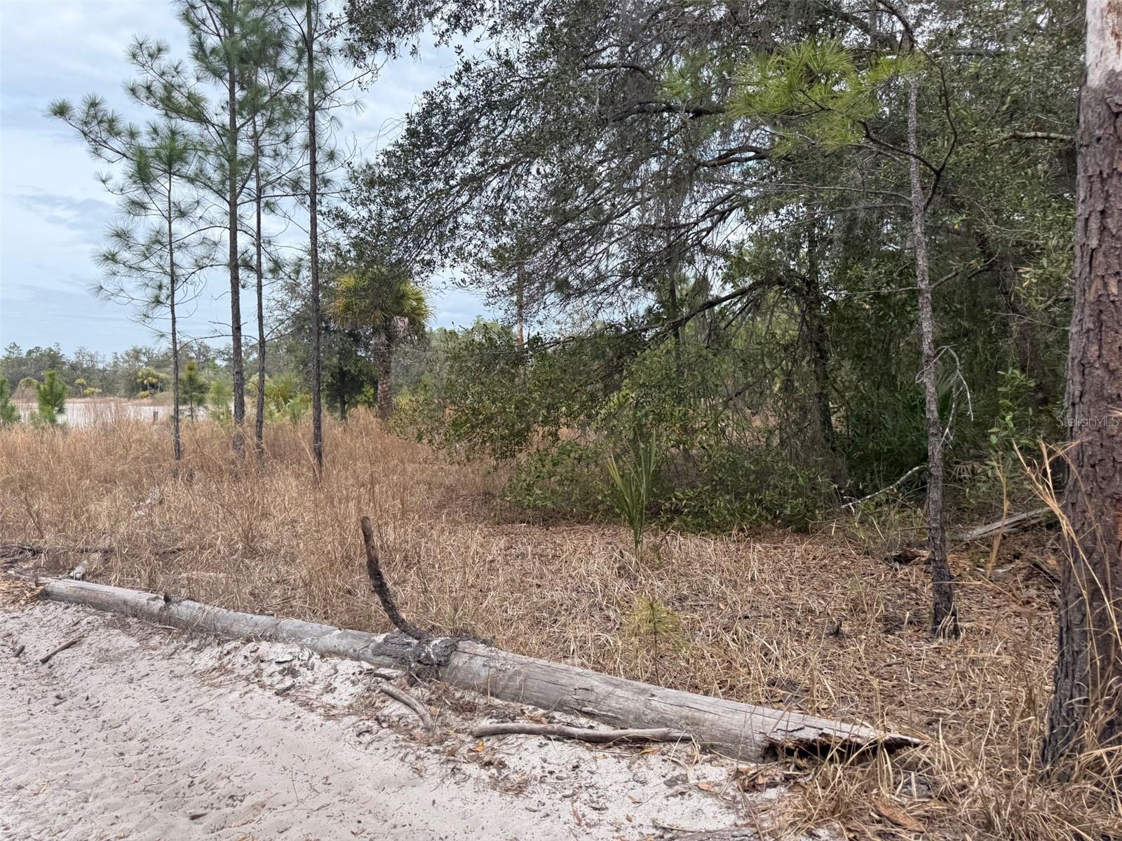 CRYSTAL MANOR UNIT 01 - Land