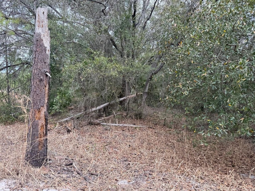 Photo of 8309 N Odyssey Dr, Crystal River, FL 34428 (MLS # G5108393)