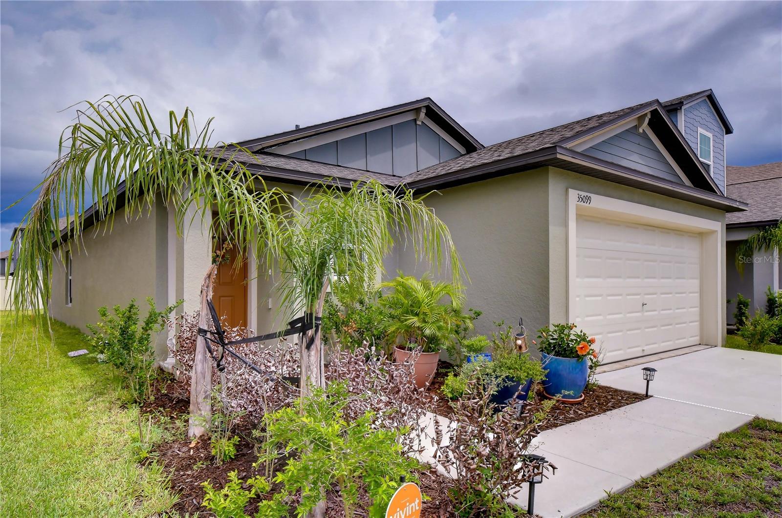 35099 ACKLEY TRACE