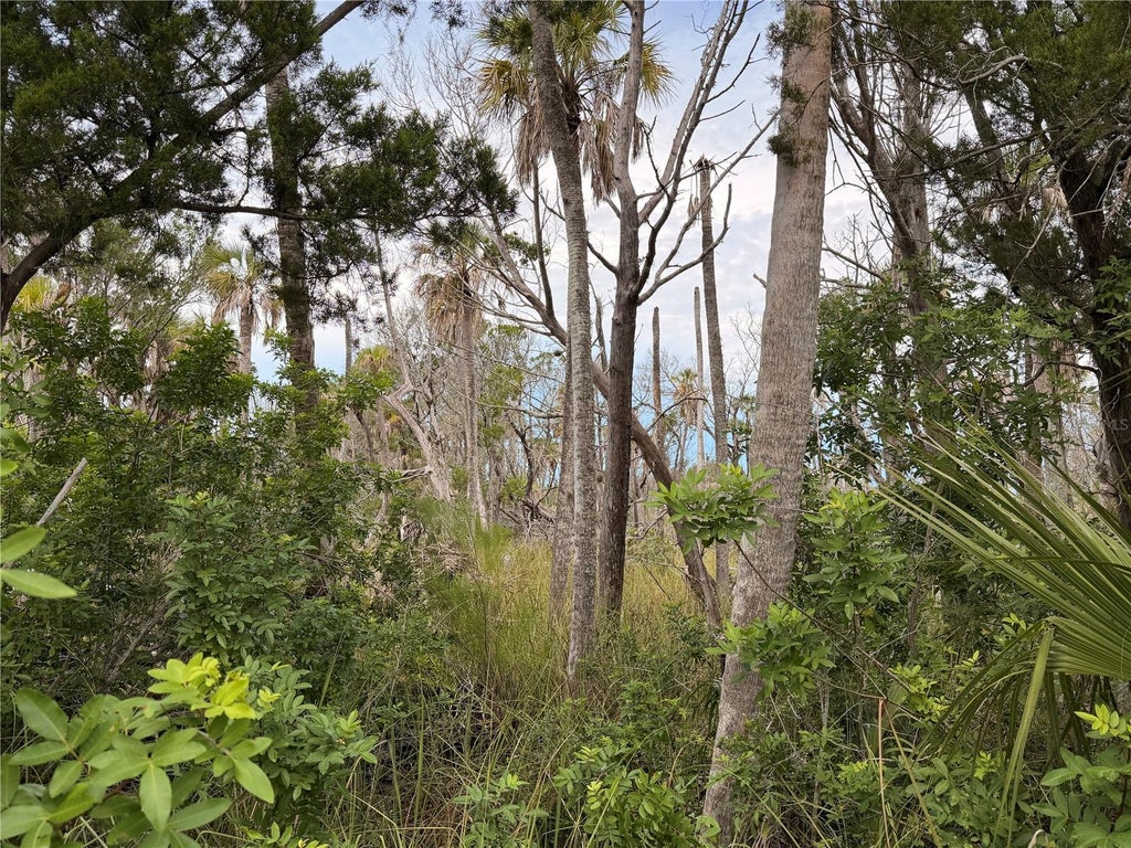 Photo of 11975 W Waterwood Drive, Crystal River, FL 34429 (MLS # TB8548186)