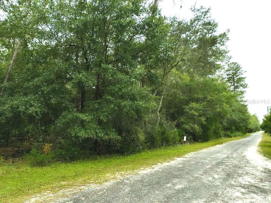Perfect property for those who love a peaceful country setting. Build your home on this 1.75-acre lot where you can hunt and fish. Located minutes from downtown Fort McCoy with stores, doctors' offices, pharmacies, gas stations, restaurants, and more.  In Florida, you can enjoy all seasons' camping, riding on your ATV/UTV, launching your boat into the Ocklawaha River, fishing, hunting, hiking, or just spending a day at one of the many springs or lakes. Rural setting, perfect for nature lovers. Just a short drive from Ocala, Daytona Beach, and Gainesville, this is country living with city convenience at an unbeatable price. Don’t wait—your perfect outdoor haven won’t last long!