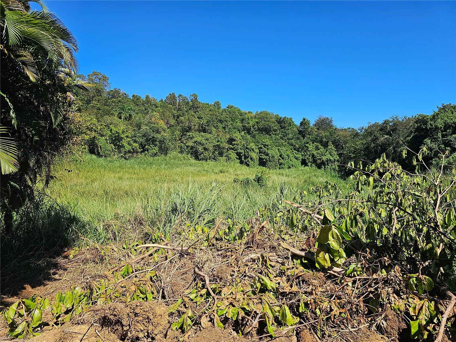 Discover the potential of this expansive 74-acre parcel nestled in the heart of Barrio Montellanos, Morovis. Conveniently located on PR-159 at Km 3.0, the property offers easy access—just five minutes from PR-137 and only two miles from the Morovis Plaza Shopping Center.
Included on the land is a modest 2-bedroom, 1-bathroom home that requires minimal updates, making it a great starting point for future development or a cozy retreat.
Whether you're envisioning a thriving agricultural venture, a private estate, or exploring other possibilities based on local zoning regulations, this property offers the space and flexibility to bring your vision to life.