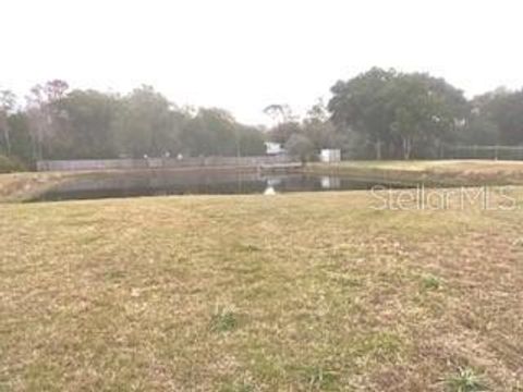 Tiny photo for 32420 County Road 473, Leesburg, FL 34788 (MLS # G5109897)