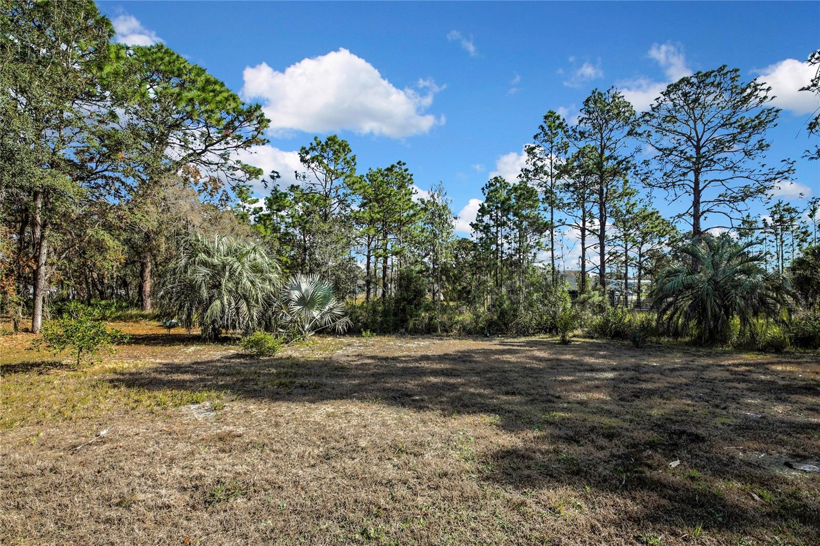 ROYAL HIGHLANDS - Residential