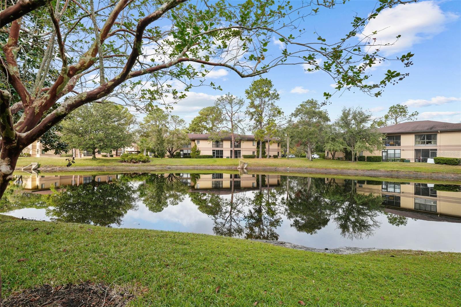 MISTY SPGS CONDO - Residential Lease