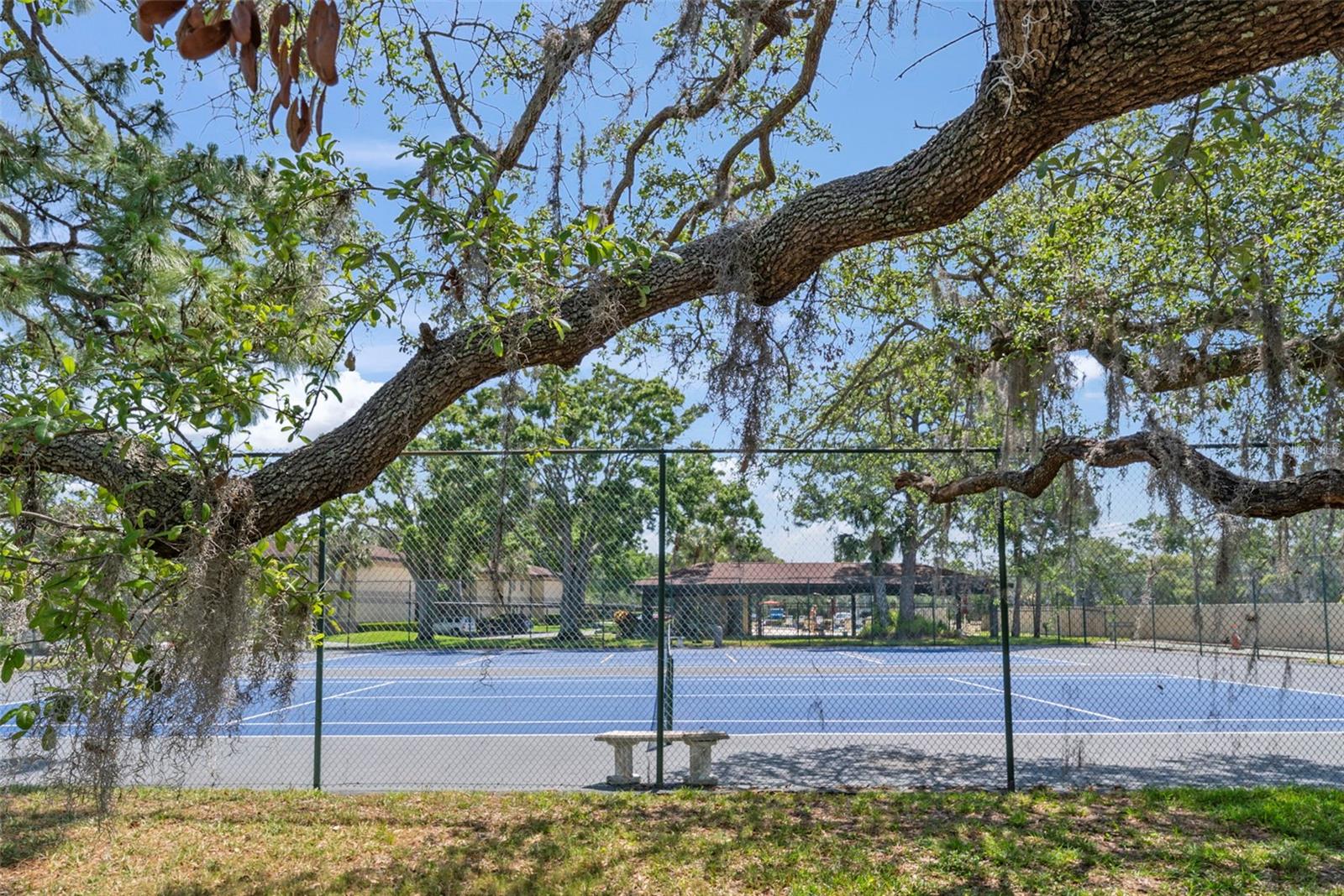 MISTY SPGS CONDO - Residential Lease