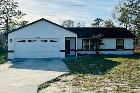 Photo of 15027 Goldeneye Road, Weeki Wachee, FL 34614 (MLS # W7883840)
