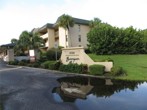 A home in PUNTA GORDA