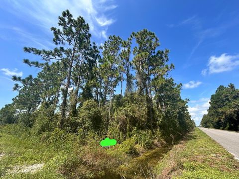 Photo of 966 Challenger Street NW, Lake Placid, FL 33852 (MLS # TB8478919)