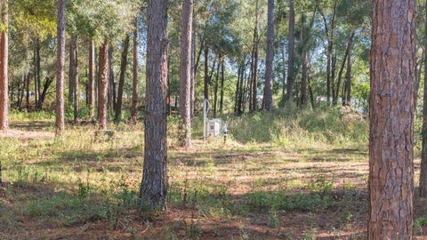 Tiny photo for 24238 Deep Springs Loop, Eustis, FL 32736 (MLS # O6367276)