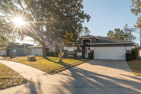 Photo of 1038 Singleton Circle, Groveland, FL 34736 (MLS # G5107382)