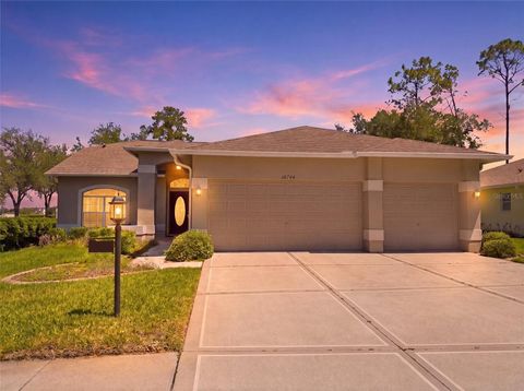 Photo of 18744 Bellevista Court, Hudson, FL 34667 (MLS # W7885021)