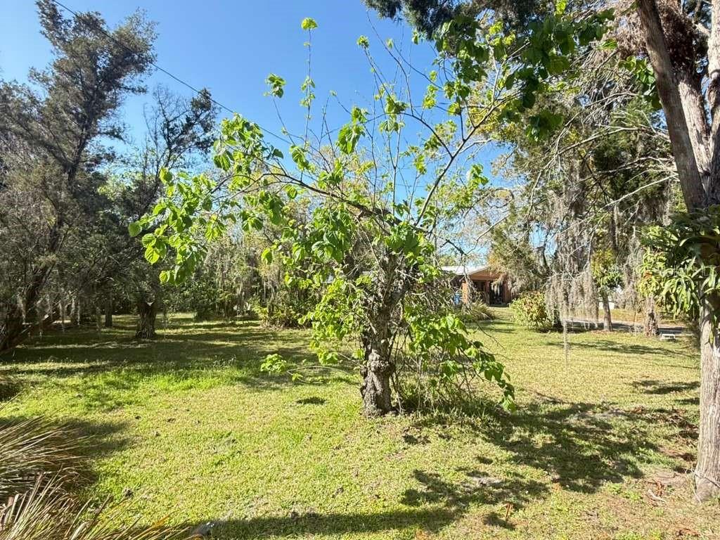 UNPLATTED - Residential