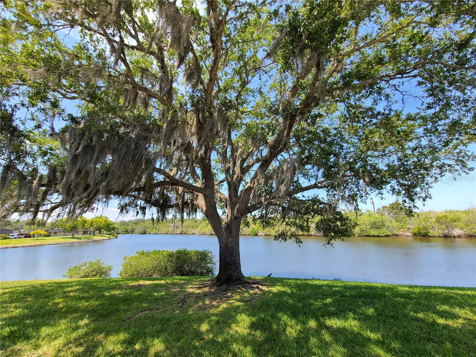 4120 STRATFORD DRIVE