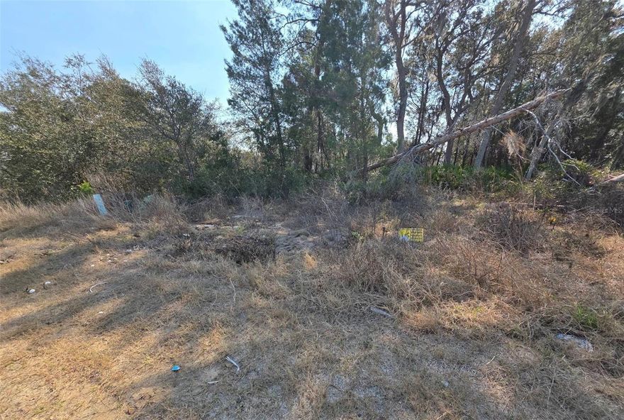 Rare opportunity to own a vacant homesite on Elm Court, surrounded by newer construction homes in one of Poinciana's most active building corridors. Village 8 is nearly built out, making remaining lots like this increasingly hard to find. Utilities are available and the lot is ideal for builders, investors, or future homeowners ready to build from the ground up. Low HOA fee includes access to the Poinciana Victory Pool, Aquatic Center, APV Community Center with fitness center, event rooms, sports fields, playgrounds, walking trails, and Spectrum high-speed internet and cable. Easy access to Disney, Universal, SeaWorld, LEGOLAND, and Orlando Interntional Airport. Strong area growth and low HOA fees,? bring your builder and your plans!