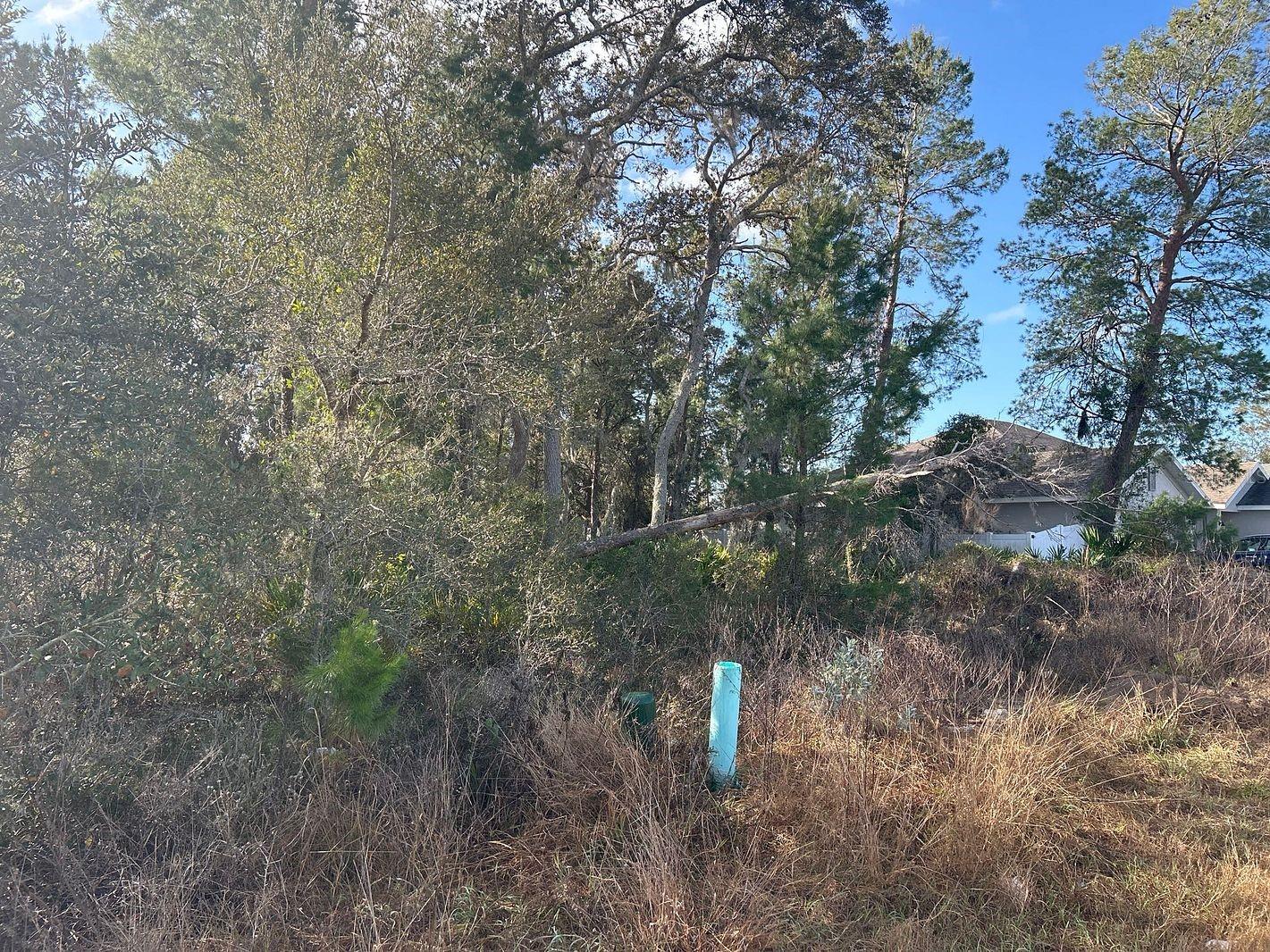 POINCIANA NBRHD 02 VILLAGE 08 - Land