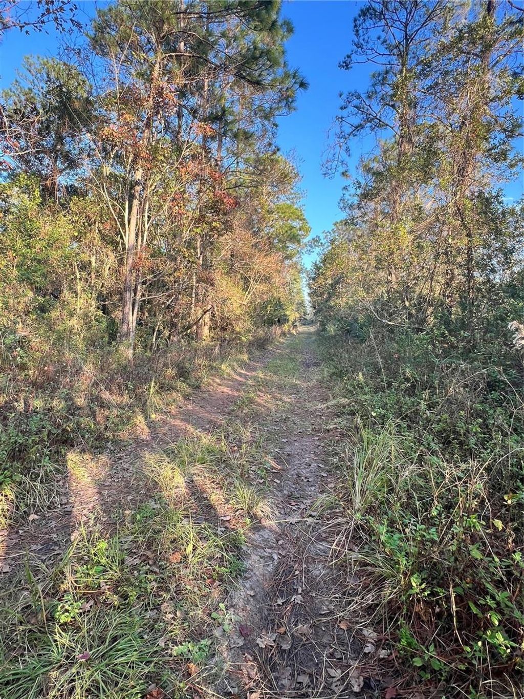 Photo of University Highlands/ Deland Crossings, Deland, FL 32724 (MLS # V4946578)