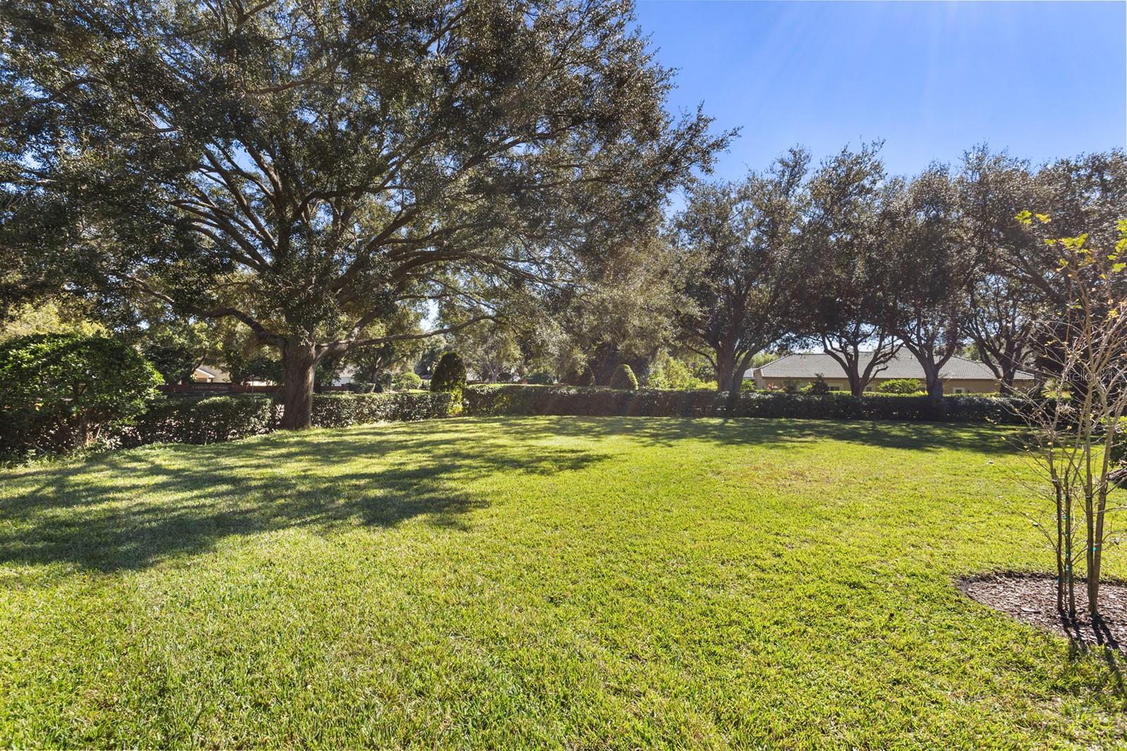 WYNTREE - Residential