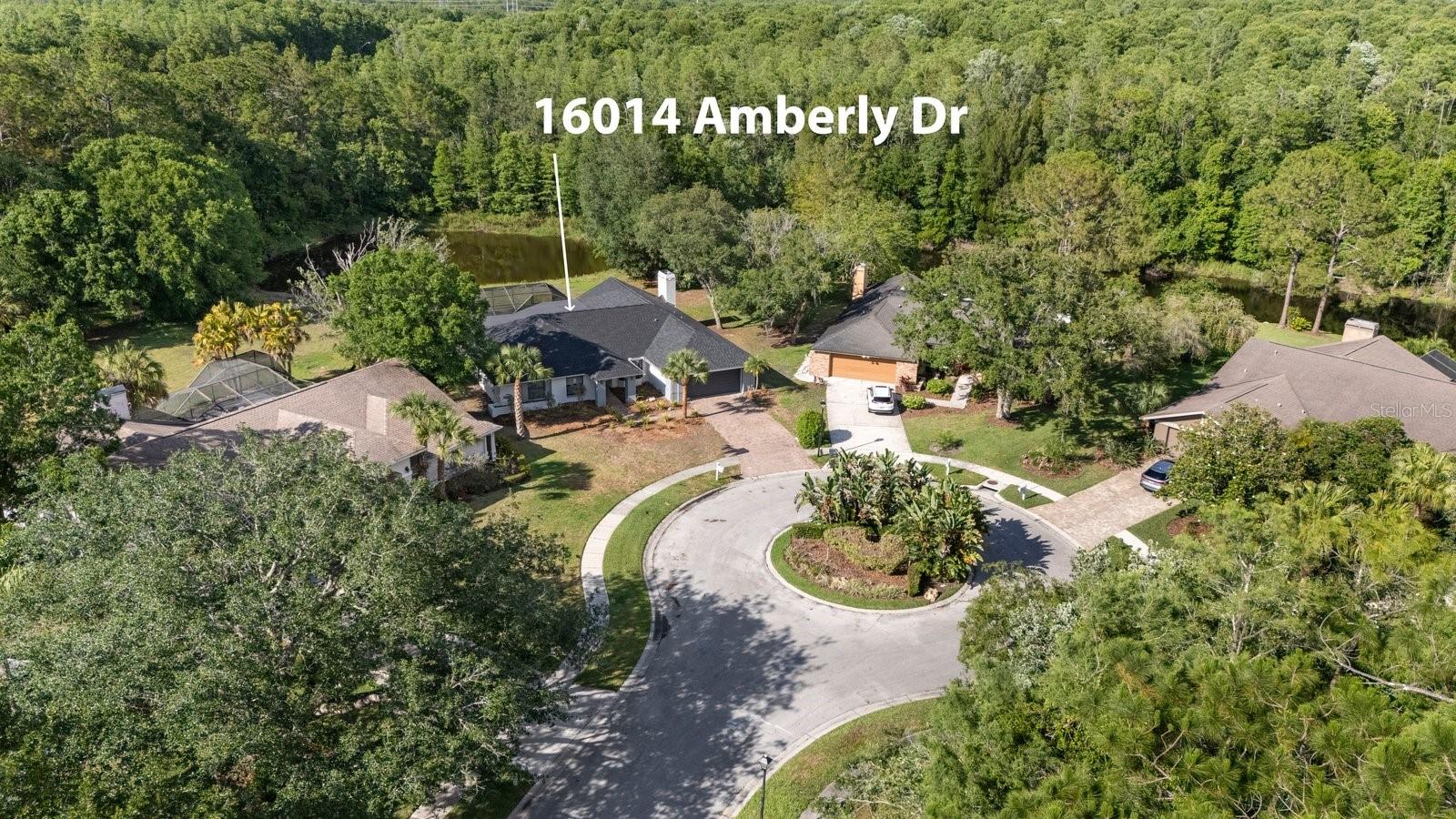16014 AMBERLY DRIVE